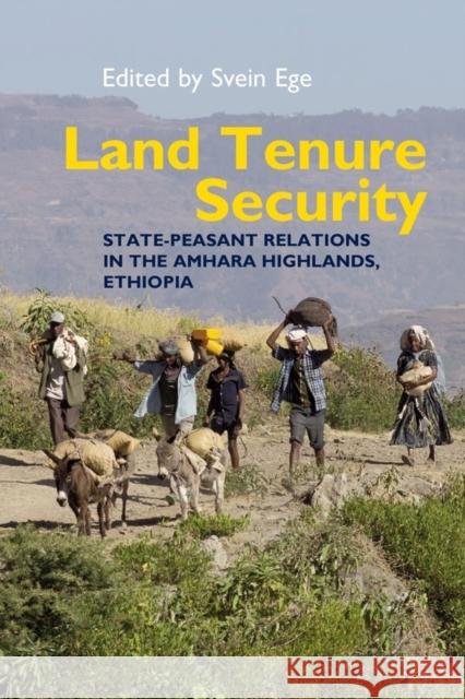 Land Tenure Security: State-Peasant Relations in the Amhara Highlands, Ethiopia Svein Ege 9781847012241 James Currey