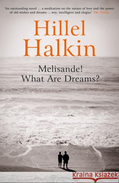 Melisande! What Are Dreams? Hillel Halkin 9781847085009