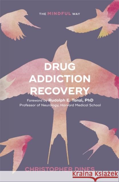 Drug Addiction Recovery: The Mindful Way Christopher Dines Rudolph E. Tanzi 9781847094940 Sheldon Press