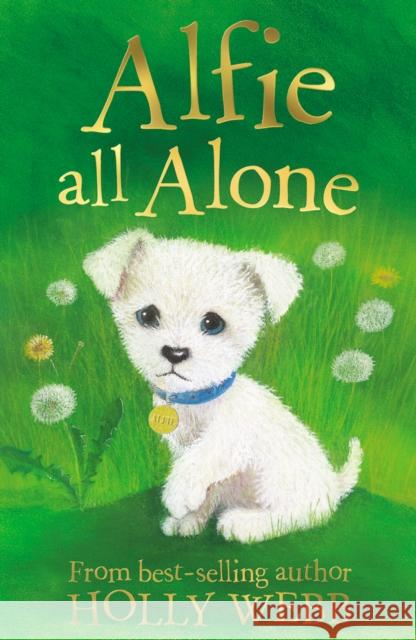 Alfie All Alone Holly Webb 9781847150158