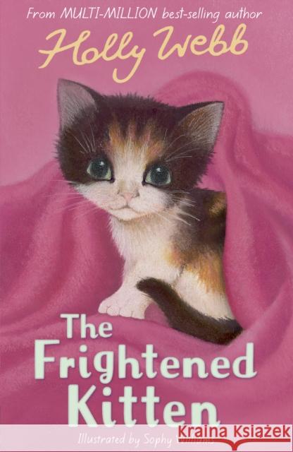 The Frightened Kitten Holly Webb 9781847152305