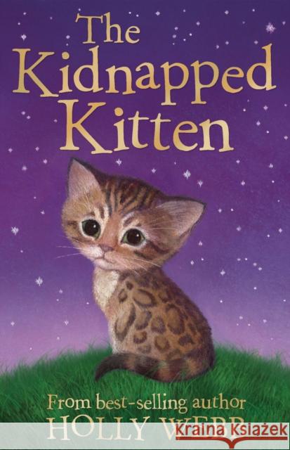 The Kidnapped Kitten Holly Webb Sophy Williams  9781847154224