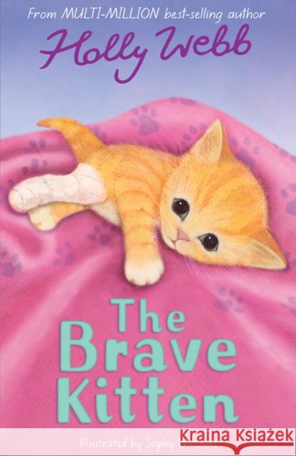 The Brave Kitten Holly Webb 9781847154408