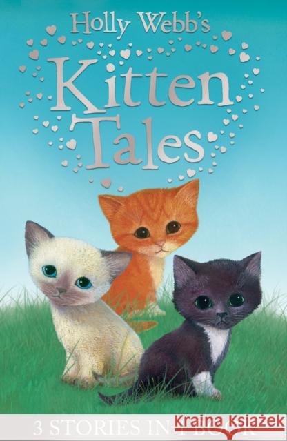 Holly Webb's Kitten Tales: Sky the Unwanted Kitten, Ginger the Stray Kitten, Misty the Abandoned Kitten Holly Webb 9781847154477