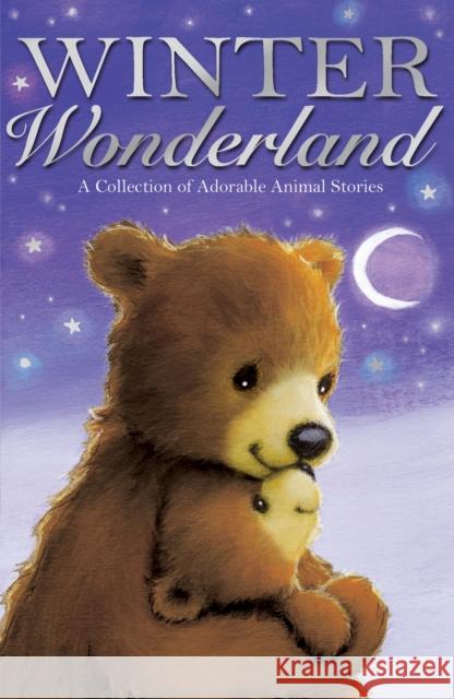 Winter Wonderland Various Authors 9781847154606