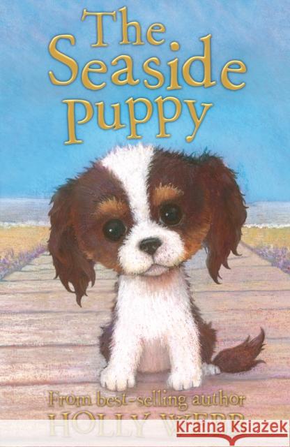 The Seaside Puppy Holly Webb 9781847156525