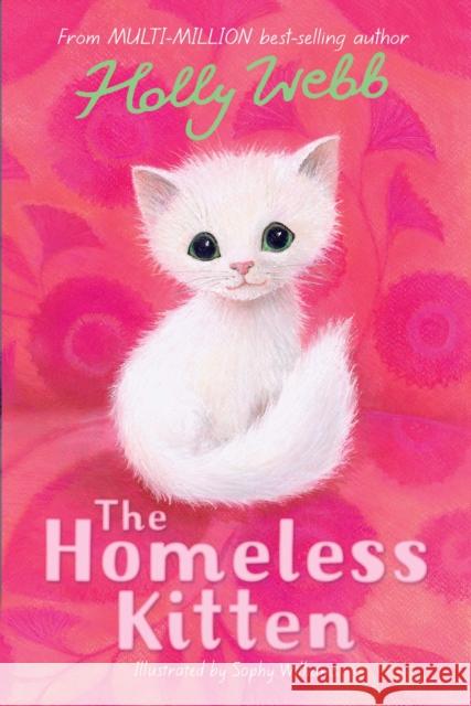 The Homeless Kitten Webb, Holly 9781847157836