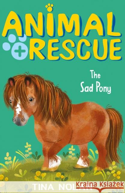 The Sad Pony Nolan, Tina 9781847159199 Little Tiger Press Group