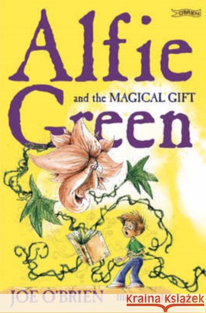 Alfie Green and the Magical Gift Joe O'Brien Jean Texier  9781847170415