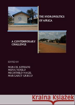 The Hydropolitics of Africa: A Contemporary Challenge Bardouille, Raj 9781847181121