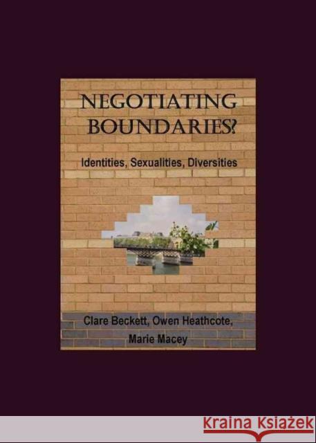 Negotiating Boundaries? Identities, Sexualities, Diversities Beckett, Clare 9781847182739