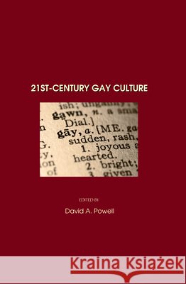 21st-Century Gay Culture David A. Powell 9781847184146