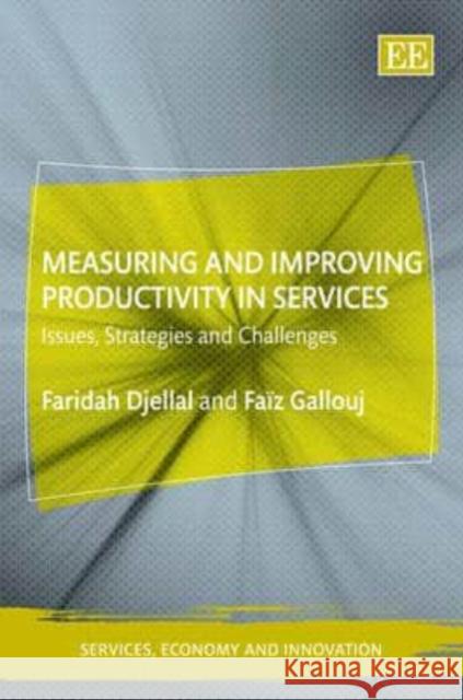 Measuring and Improving Productivity in Services: Issues, Strategies and Challenges Faridah Djellal Faiz Gallouj  9781847202697