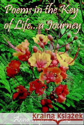 Poems in the Key of Life ... A Journey Anne Marie Brooks 9781847280206 Lulu.com