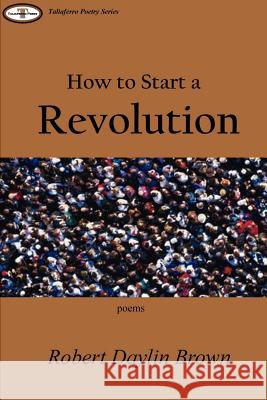 How to Start a Revolution Robert Daylin Brown 9781847282149