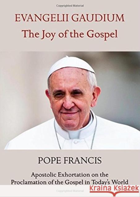 EVANGELII GAUDIUM THE JOY OF THE GOSPEL POPE FRANCIS 9781847305428 