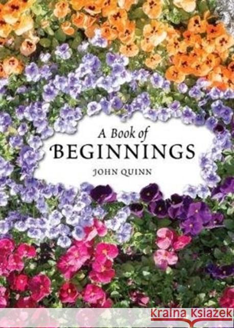 A Book of Beginnings John Quinn 9781847309129 Veritas Publications
