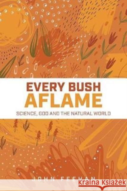 Every Bush Aflame John Feehan 9781847309488 Veritas Publications