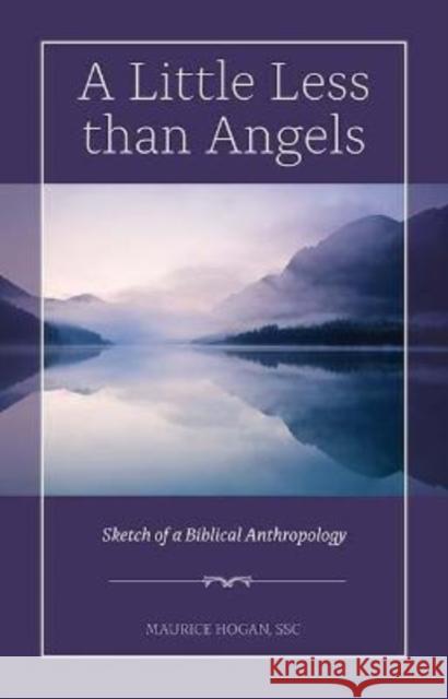 A Little Less Than Angels Maurice Hogan 9781847309907 Veritas Publications