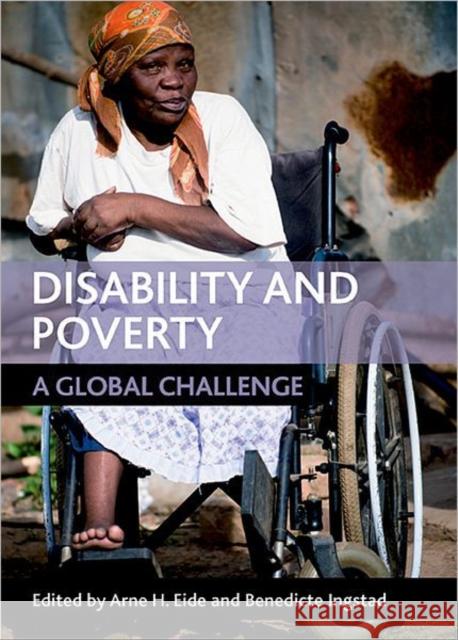 Disability and Poverty: A Global Challenge Eide, Arne H. 9781847428851