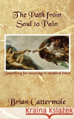 The Path from Soul to Pain: Searching for Meaning in Troubled Times Brian Cattermole 9781847481092