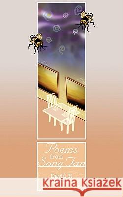 Poems from Song Tan David R. Wellens 9781847483867