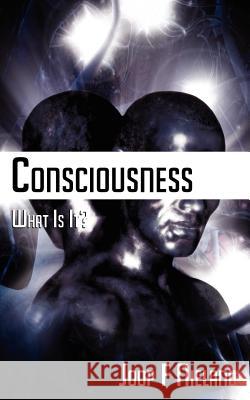 Conciousness: What Is It? Joop F. Nieland 9781847485755