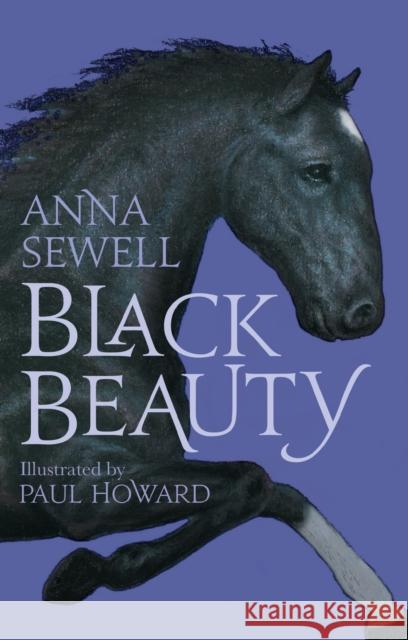 Black Beauty: Illustrated by Paul Howard Anna Sewell 9781847495860 Alma Books Ltd