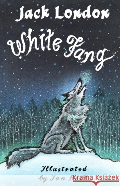 White Fang: Illustrated by Ian Beck Jack London 9781847498014 Alma Books