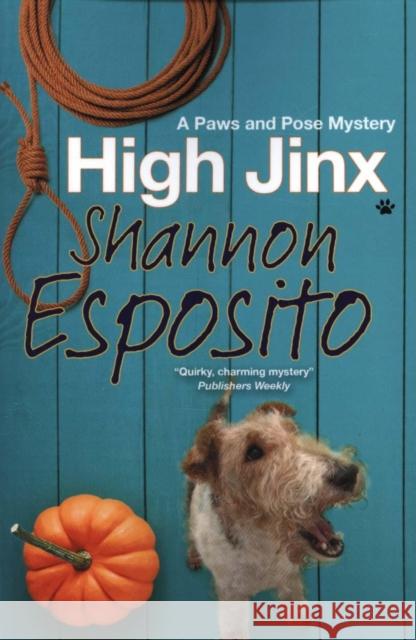 High Jinx Esposito, Shannon 9781847517043