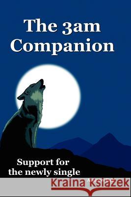 The 3am Companion - Support for the Newly Single Andrew, Ball 9781847538123