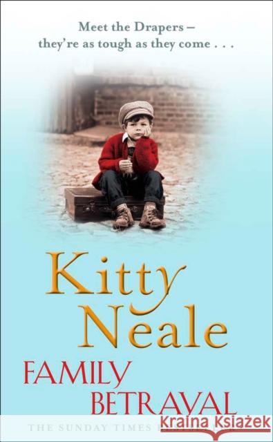 A Family Betrayal Kitty Neale 9781847563507