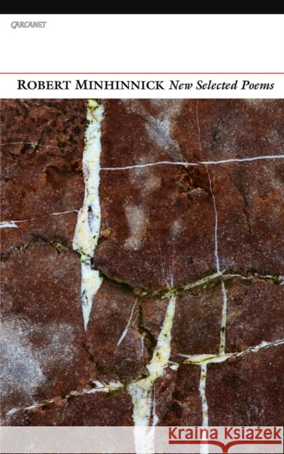 New Selected Poems Robert Minhinnick 9781847771339