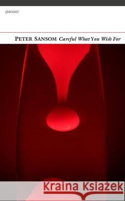 Careful What You Wish for Peter Sansom 9781847772039