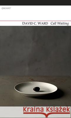 Call Waiting David C. Ward 9781847772268 Carcanet Press