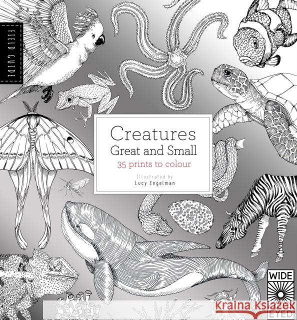 Field Guide: Creatures Great and Small  9781847806352 Frances Lincoln Ltd