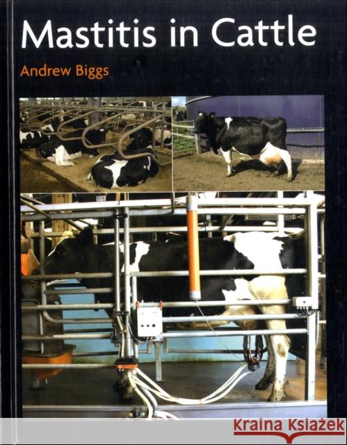Mastitis In Cattle Andrew Biggs 9781847970718 The Crowood Press Ltd