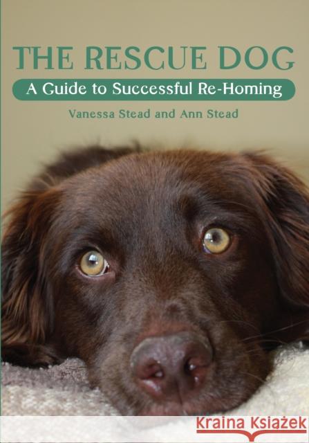 The Rescue Dog: A Guide to Successful Re-homing Vanessa Stead 9781847971807 The Crowood Press Ltd