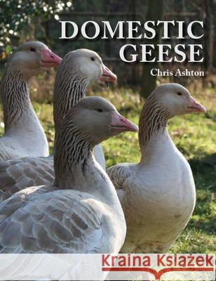 Domestic Geese Chris Ashton 9781847972156 0