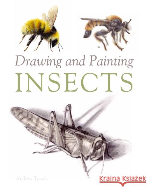 Drawing and Painting Insects Andrew Tyzack 9781847974891 The Crowood Press Ltd