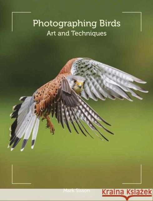Photographing Birds: Art and Techniques Mark Sisson 9781847977137 The Crowood Press Ltd