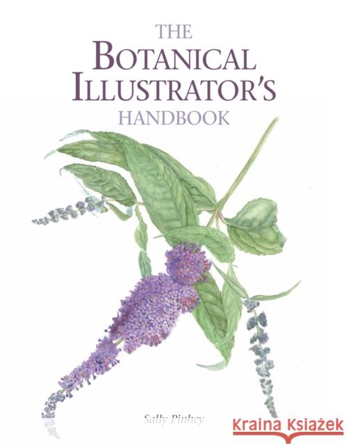 The Botanical Illustrator's Handbook Sally Pinhey 9781847977175 The Crowood Press Ltd