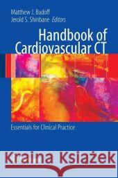 Handbook of Cardiovascular CT: Essentials for Clinical Practice Budoff, Matthew J. 9781848000919 SPRINGER-VERLAG LONDON LTD
