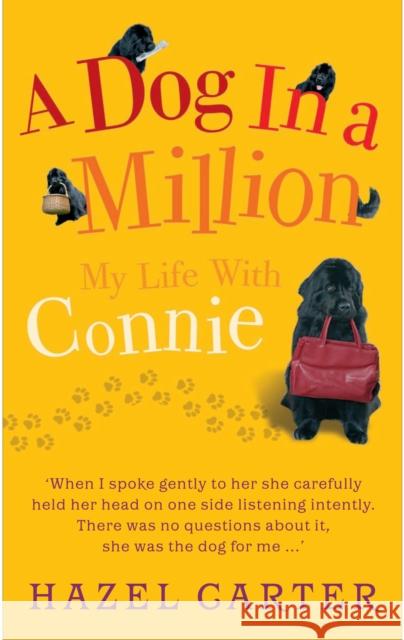 A Dog in a Million : My Life with Connie Hazel Carter 9781848091047 PREFACE PUBLISHING