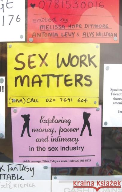 Sex Work Matters: Exploring Money, Power, and Intimacy in the Sex Industry Bradley-Engen, Mindy S. 9781848134331 Zed Books