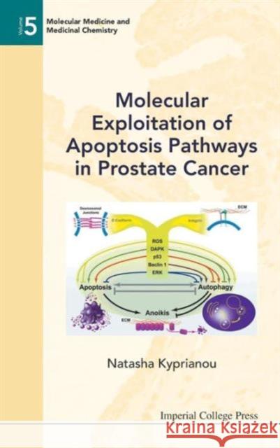 Molecular Exploitation of Apoptosis Pathways in Prostate Cancer Kyprianou, Natasha 9781848164499 0