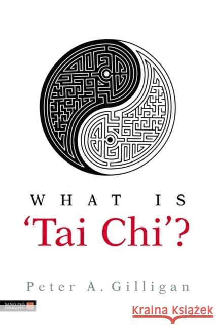 What Is 'Tai Chi'? Gilligan, Peter 9781848190245