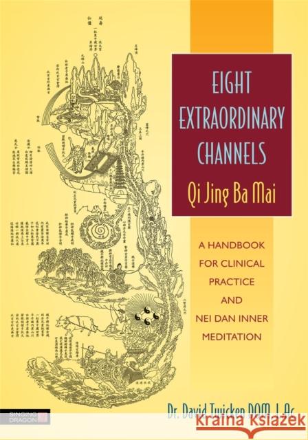 Eight Extraordinary Channels - Qi Jing Ba Mai: A Handbook for Clinical Practice and Nei Dan Inner Meditation David Twicken 9781848191488 Jessica Kingsley Publishers