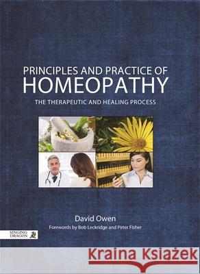 Principles and Practice of Homeopathy: The Therapeutic and Healing Process Owen, David 9781848192652