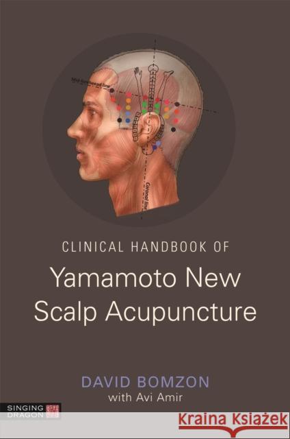 Clinical Handbook of Yamamoto New Scalp Acupuncture David Bomzon Abraham Amir 9781848193925 Jessica Kingsley Publishers